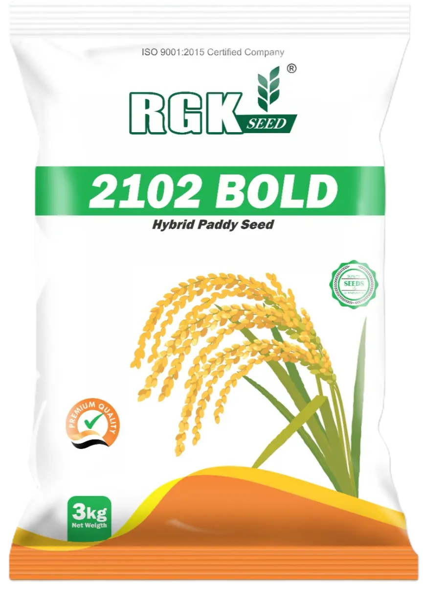 Hybrid Paddy seeds for field crops