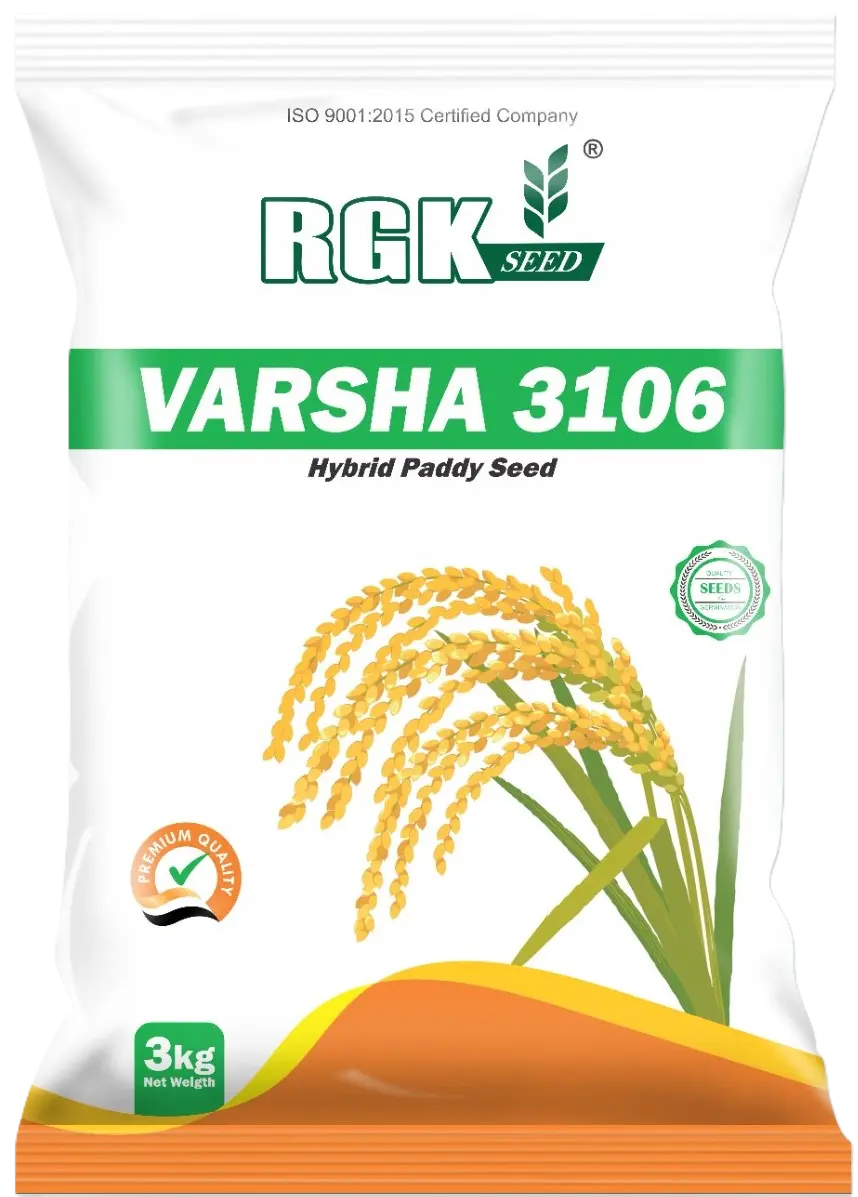 Hybrid Paddy seeds for field crops