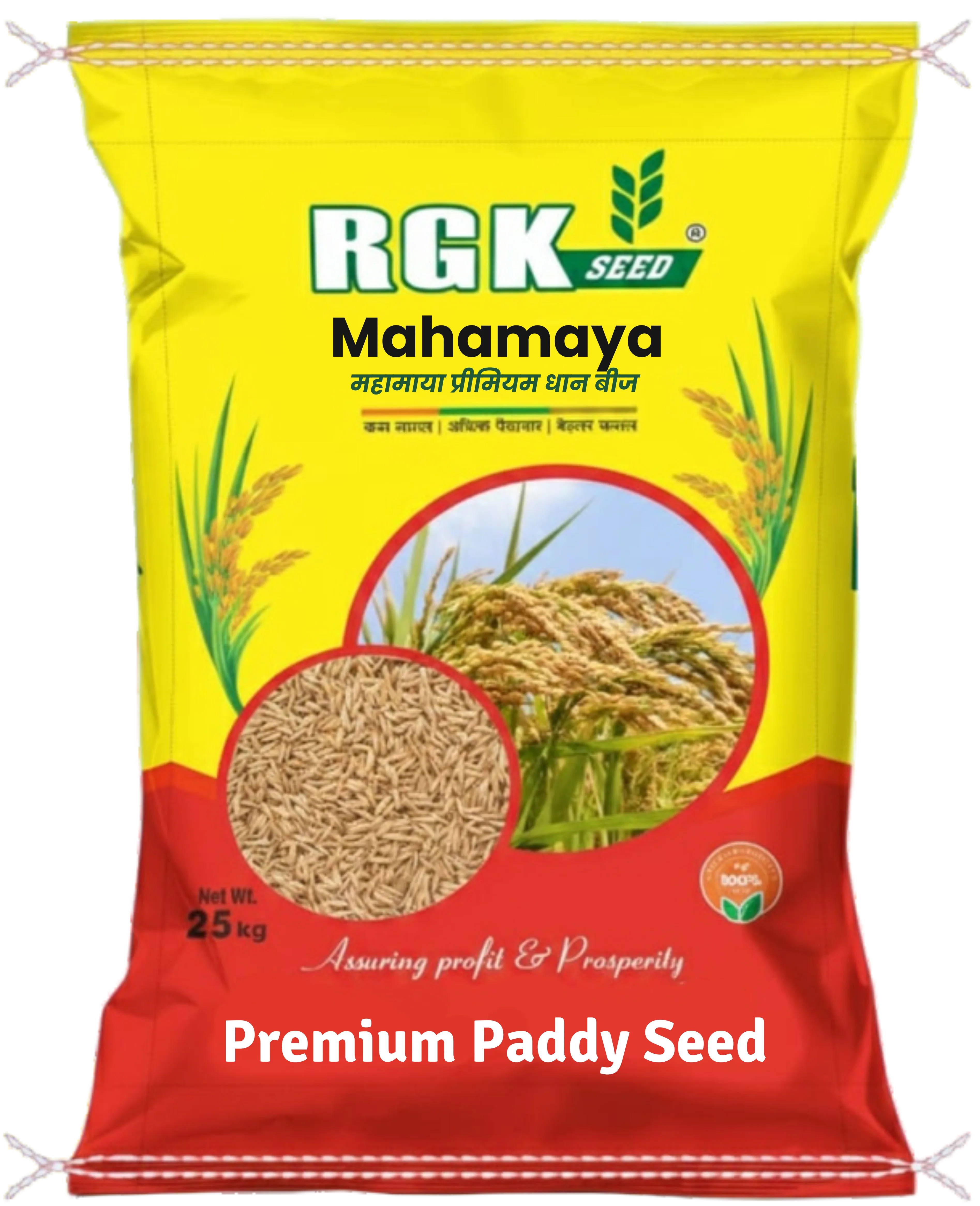 OP Paddy seeds for field crops