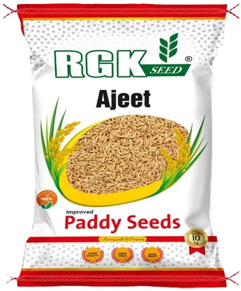 Research Paddy seeds for field crops
