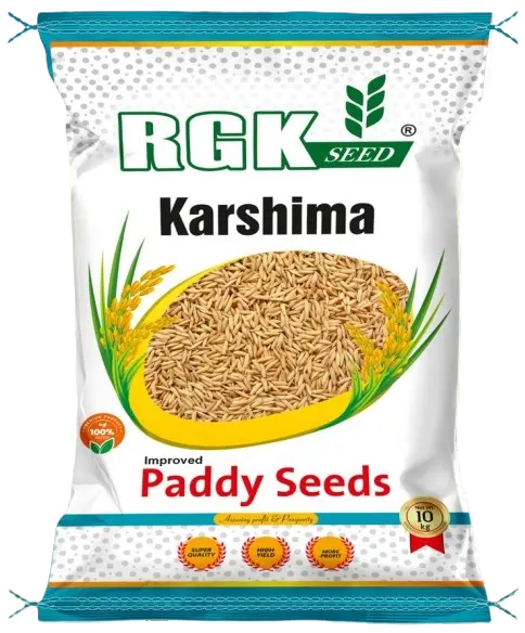 Research Paddy seeds for field crops
