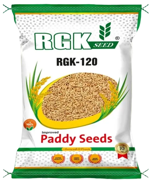 Research Paddy seeds for field crops