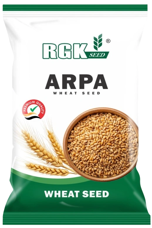 Wheat (Research) seeds for field crops